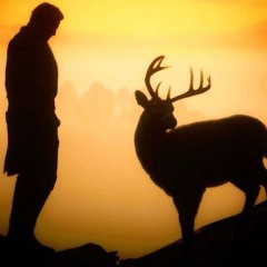 Spiritual Animal Dream RDR2