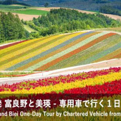 Review Special Price Furano And Biei Oneday Tour By Chartered Vehicle From Sapporo