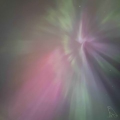 nylu, a red panda & Prism Shards - Northern Lights *✩‧₊˚☾
