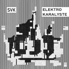 PREMIERE: SVK - Elektro Karalyste [PZ Records]