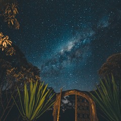 Milky Way Safari