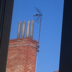 albert phoenix6 doute