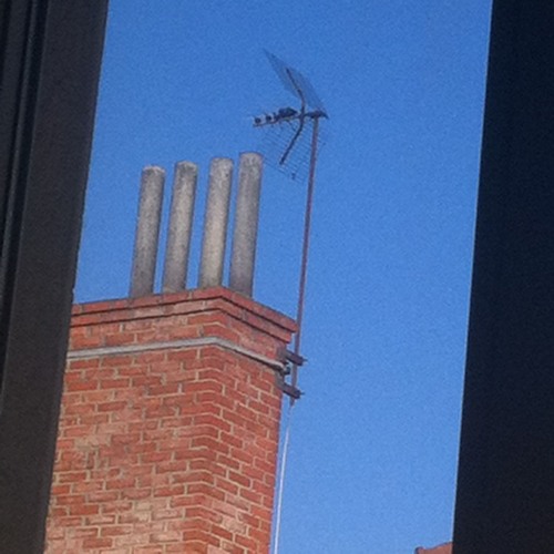 albert phoenix6 doute