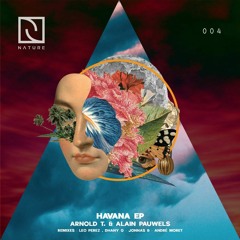 Arnold T, Alain Pauwels - Havana (André Moret Remix) Preview, Nature Rec