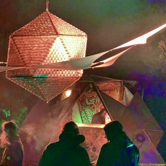 NEXUS - FOREST FUNK 2025