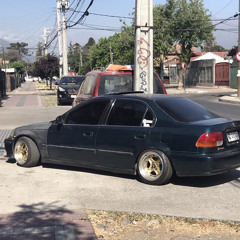 YERA EL TACO - MXFLV