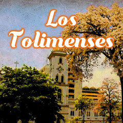 Los Tolimenses en Orbita