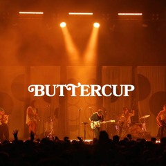 Hippo Campus - Buttercup (Live at the Armory)