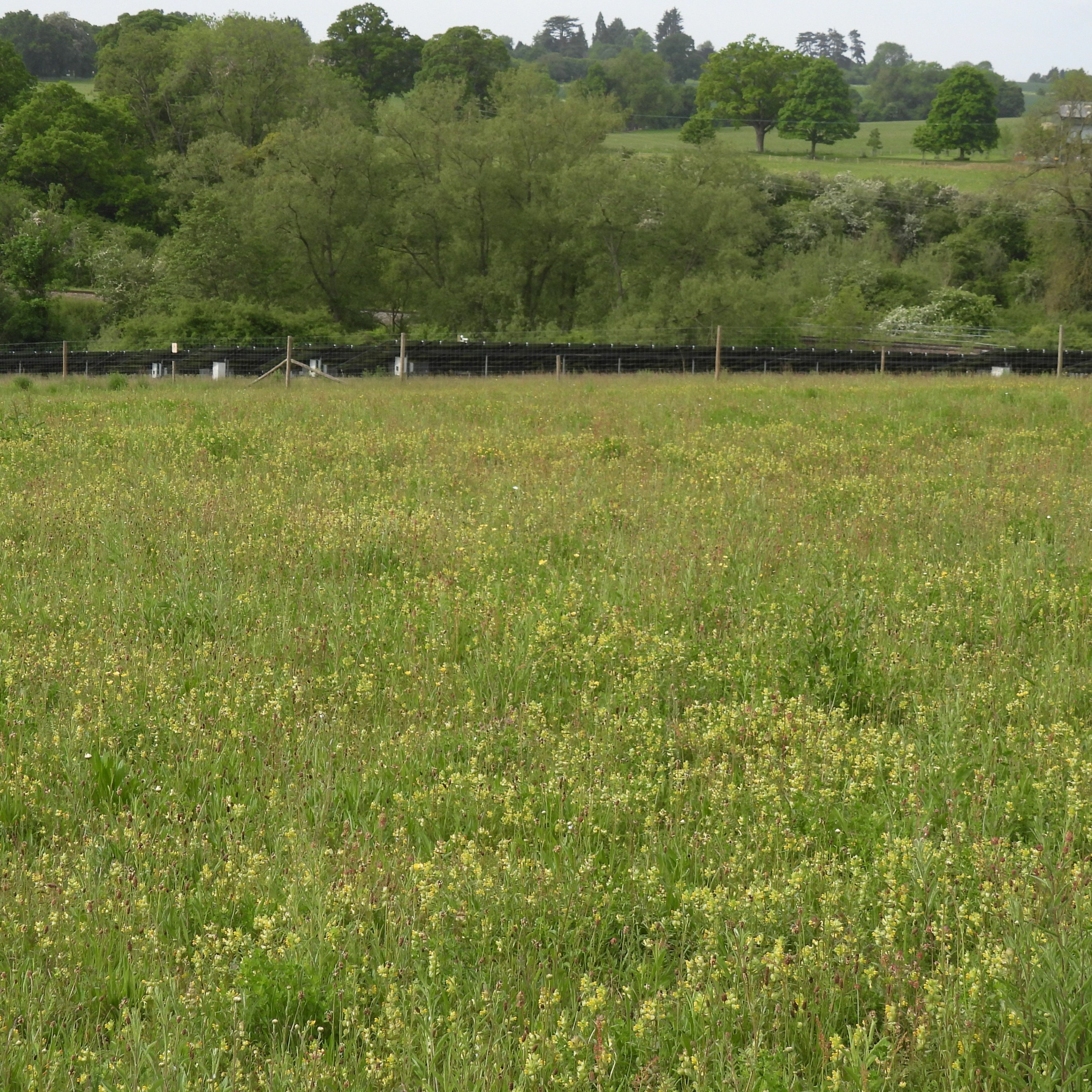 2022 STRAIGHT FROM THE FIELDS 14 - KNOWING WHEN YOU'RE DELIVERING CONSERVATION SUCCESSFULLY episode artwork