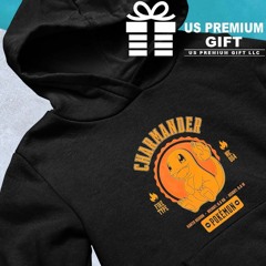 Pokemon Charmander Pokédex data character shirt