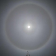 moondog (artemis + orion)