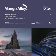 Premiere: Digital Mess - Moon Frog [Mango Alley]