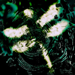 Pteron - Dragonfly (TXTR003)