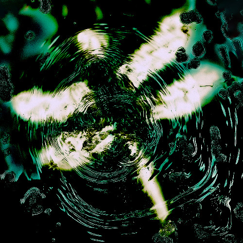 Pteron - Dragonfly (TXTR003)