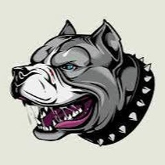 Hard Type Beat - "Wild"