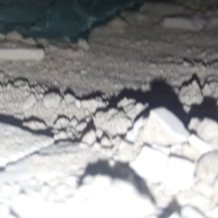 Strange Planet 11 06 2021