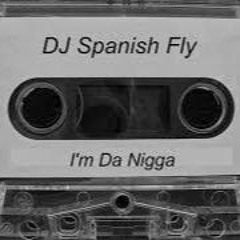 DJ Spanish Fly - Hollow Points