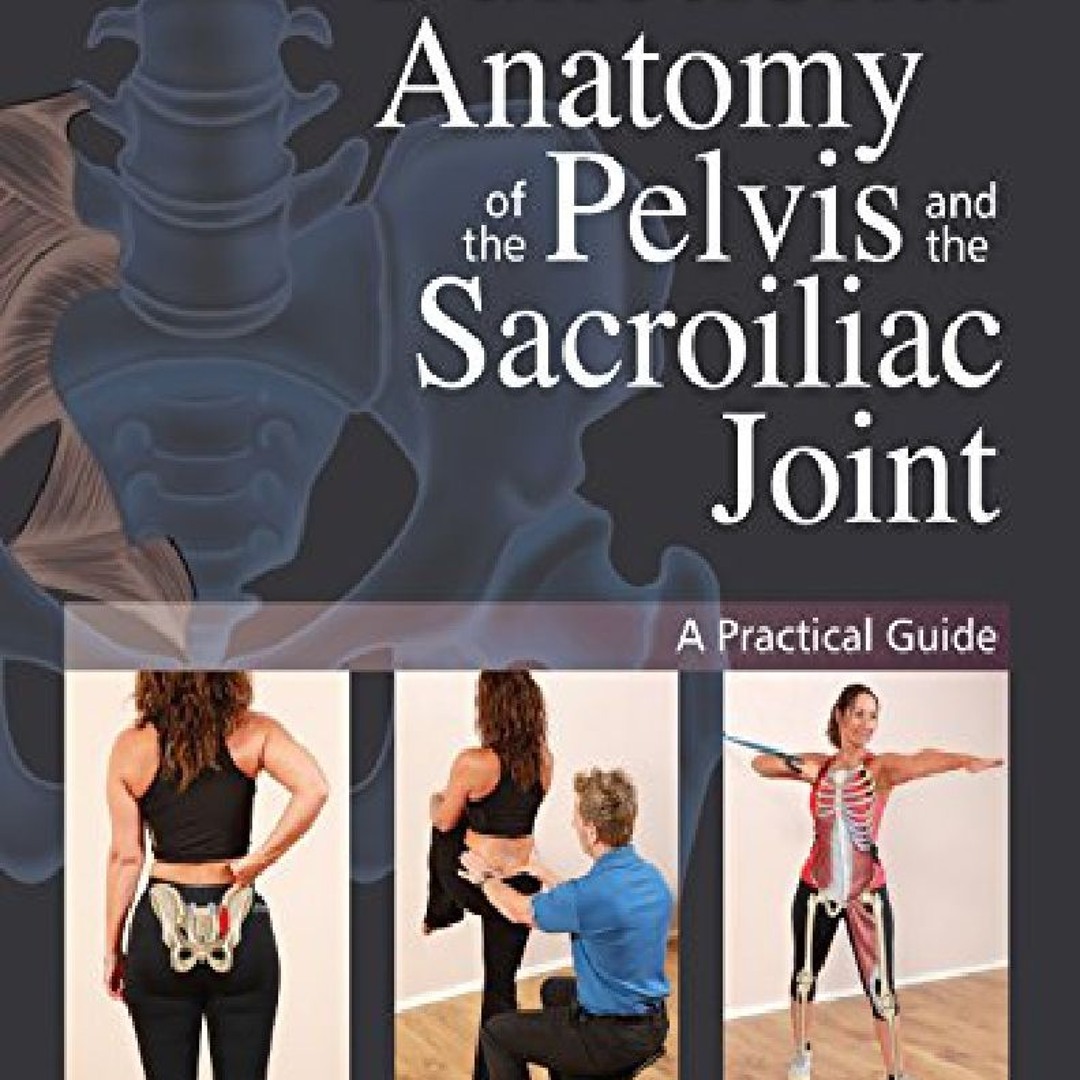 Stream episode [ download PDF ] Functional Anatomy of the Pelvis and ...