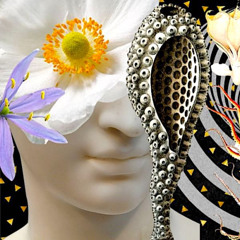 Rest for the Wicked - Dub, Trip Hop & IDM Mix