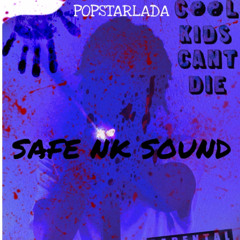 SAFE NK SOUND (prod.Theo1k)