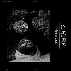 Chirp [rough draft]