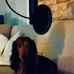 AUTO prod nikishkin, 99