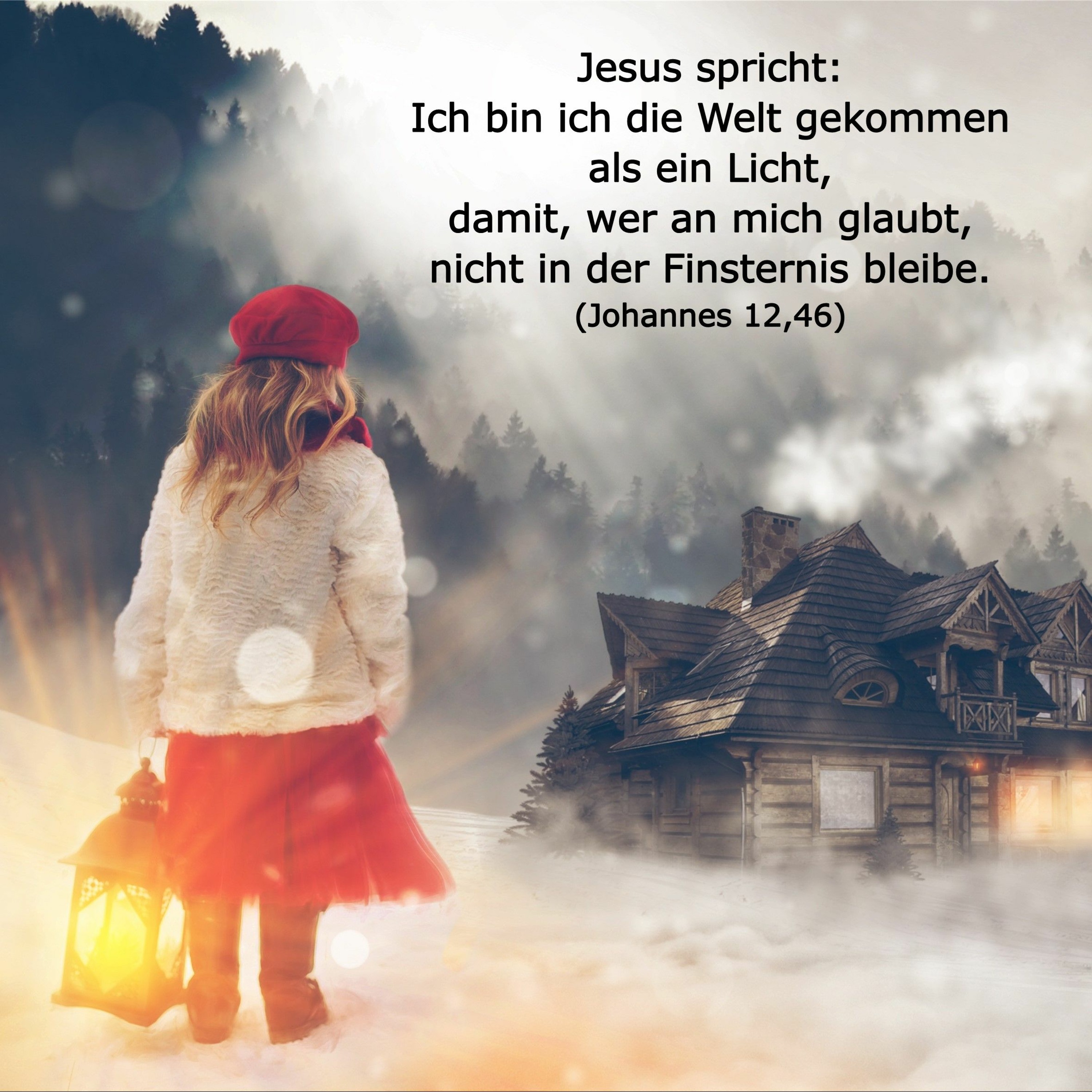 In einem Jahr durch die Bibel