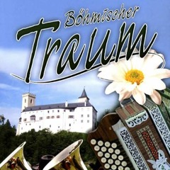 Norbert Gälle - Böhmischer Traum (Dave´D! Short Polka Trip)