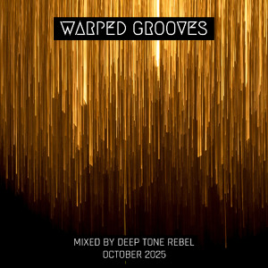 The Warped Grooves 2025 by Deep Tone Rebel
