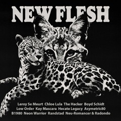 New Flesh II - Various Artists (Snippets)