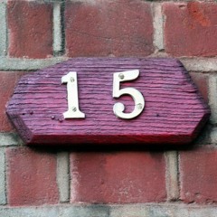 Project 15