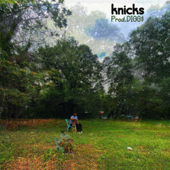 knicks by DIGG$ Prod. DIGG$