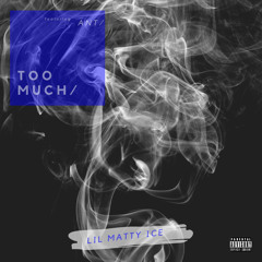 Too Much (feat. ant)