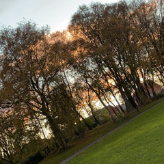 hatsune miku - White letter (slowed and reverb)