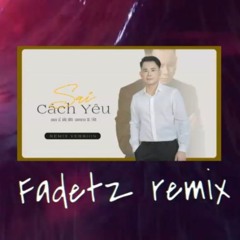 Lê Bảo Bình - Sai Cách Yêu - Fadetz Remix (Tʀᴇɴᴅʏ Nʜâɴ Tᴇᴀᴍ) ♬