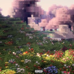 Minecraft w/Sky Sora [SVMSYNYSTER]