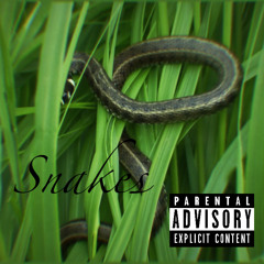 Snakes