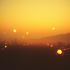 Echoes of Bellissima