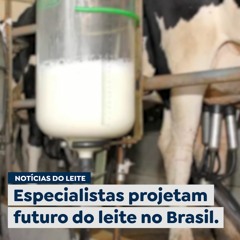 Especialistas projetam futuro do leite no Brasil