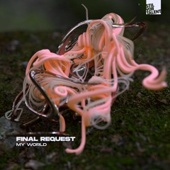 Final Request – Iridium [Snippet]