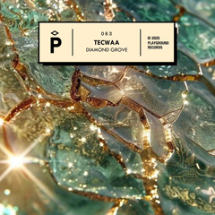 PREMIERE: Tecwaa - Rowlah (Original Mix) [Playground Records]