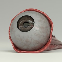 emotions slip, a glacier loses its grip - тьох тьох (With Julia Jazz)