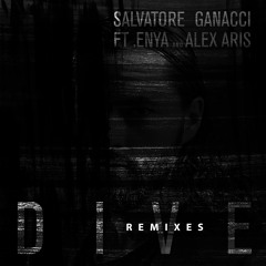 Dive (feat. Enya and Alex Aris) (Vincent Remix)