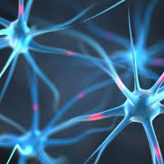 Telepatia x Attitude Ledger Mix