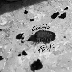 After this there was a feast of the Jews; and Jesus went up to Jerusalem.