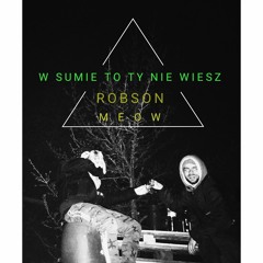 Robson X Meow - W SUMIE TO TY NIE WIESZ (Prod. BeatsByHT)