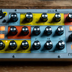 Noodling with a new Moog Sirin 👌