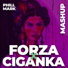 Forza x Ciganka (Phill Mark MASH) [short version]