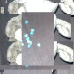 offenes buch (betwixt)