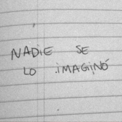 Nadie se lo imaginó